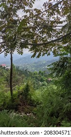 view from the high point
