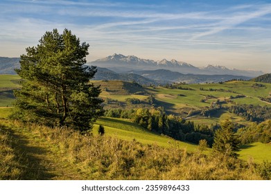 View with High Tatras in Pieniny. Summer mountain landscape in Slovakia. Slovakia and Poland countryside.Mountain hiking, healthy lifestyle