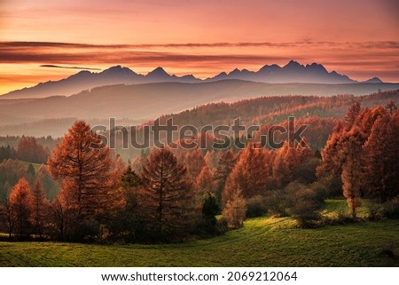 View of the High Tatras at sunset with an orange-colored spruce forest during the autumn sunset. High tatras ( Vysoke Tatry ), Levočské vrchy, Slovakia  [[stock_photo]] © 