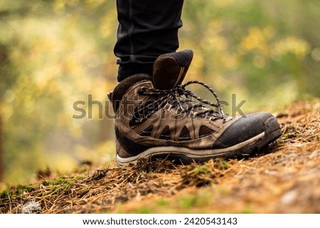 View of a hiking shoe mid-stride in an autumnal forest