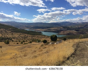 View from a hill