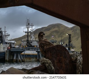 View From The Hill To The Aleutian Islands