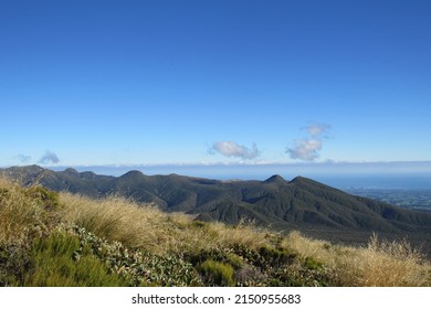 A View Of Hill In Egmont National Park, New Zealand