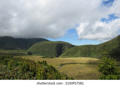 A View Of Hill In Egmont National Park, New Zealand