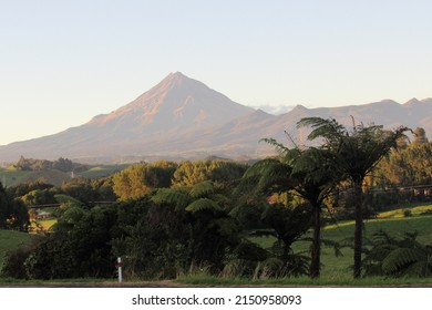 A View Of Hill In Egmont National Park, New Zealand