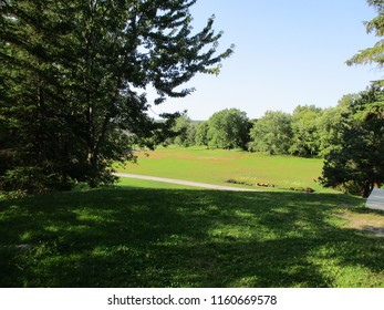 A View From A Hill In The Park Called 