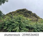 View of a hill top when out on my recent walk 