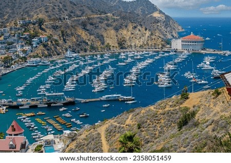 View from the hills of Catalina Island's Avalon Harbor in summertime featuring a full marina, the iconic Avalon Casino and Ballroom, Beautiful blue water and sky, against California's golden cliffs.
