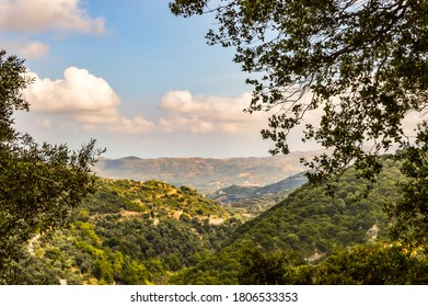View of hills in Crete with trees in the foreground - Shutterstock ID 1806533353