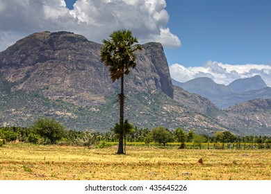 122 Palani mountains Images, Stock Photos & Vectors | Shutterstock