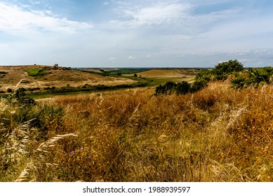 view of the hills rich in yellow wheat green olive groves and rows of vines in the archaeological park of Selinunte Trapani Sicily Italy