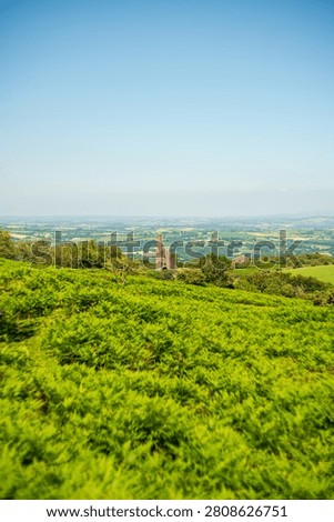 View from a hillside covered in dense green bracken ferns towards the historic Pheonix United Mine  mine engine house ruins, part of the Cornish mining landscape near Minions, Cornwall, United Kingdom.