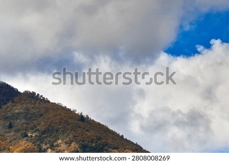 View of a hillside covered with native forest in autumn (Linares, Chile)