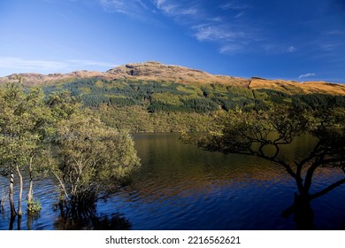 View Of Hillside And Forestry Across Loch Lomond In Scotland