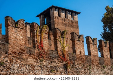 View of historic brick wall in Verona covered with vibrant autumn ivy under clear blue sky. - Powered by Shutterstock