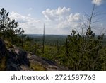View from Hogback Mountain looking into dense pine forests of Michigan’s Upper Peninsula, with many old-growth dead pines visible throughout the landscape. Wilderness scene highlighting forest age and natural cycles.