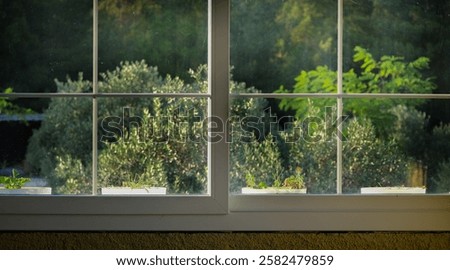 view from the home window
