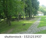 view of a house in the forest with a paved path to it