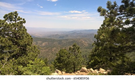 A View Of Hualapai Mountain Park