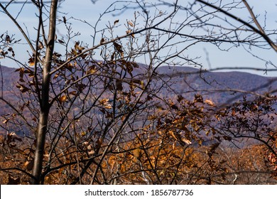 View Of The Hudson Valley During The Fall, From A Mountaintop In Cold Spring, NY