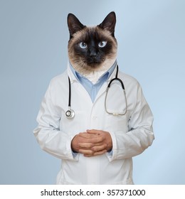 View Of A Human Cat Dressed As A Doctor