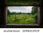 view from hunter high seat in nature in the forest in the ore mountains