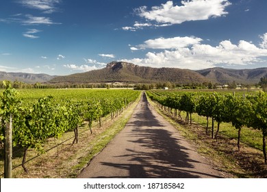 View of Hunter Valley vineyards, NSW, Australia - Shutterstock ID 187185842
