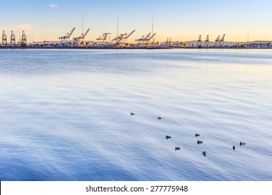 A view of the iconic cranes at the Port of Oakland, from the San Francisco Bay Trail in Everyville, California.
