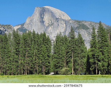 A view of the iconic face of Half Dome looking across from Cook's Meadow