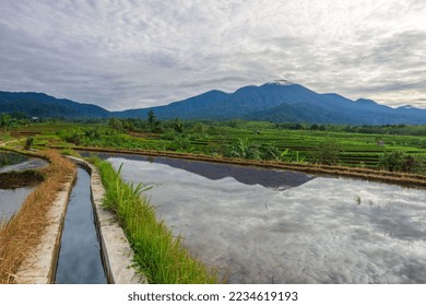 View of Indonesia in the morning, terracing rice fields from Mount Sumatra