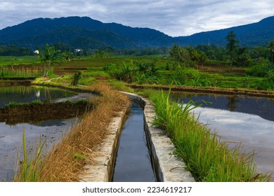View of Indonesia in the morning, terracing rice fields from the mountain