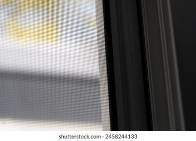 View of the insect screen in the window