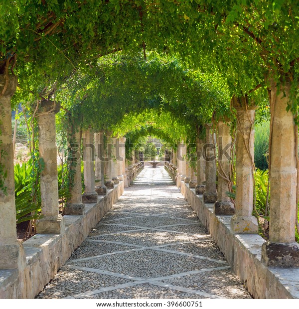 View Inside Beautiful Old Arabic Garden Stock Photo Edit Now