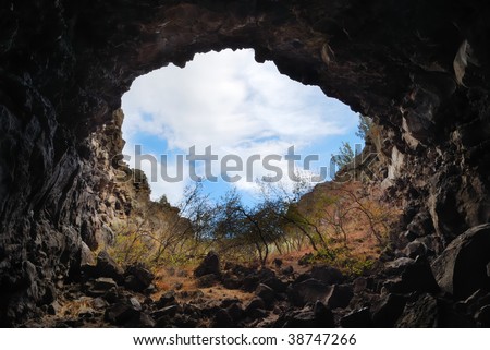 View from inside a cave looking out.
