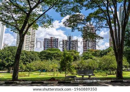 
view from inside the Ceret park in the Jardim Analia Franco neighborhood in São Paulo. Nature concept between buildings.