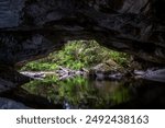 View from inside a dark cave looking out towards a bright entrance, with water reflecting the cave and surrounding greenery.