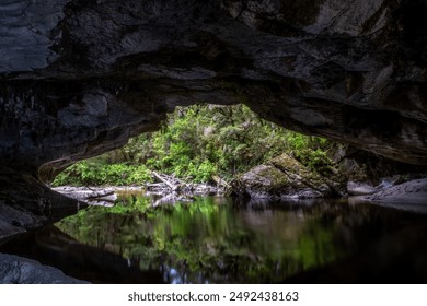 View from inside a dark cave looking out towards a bright entrance, with water reflecting the cave and surrounding greenery. - Powered by Shutterstock