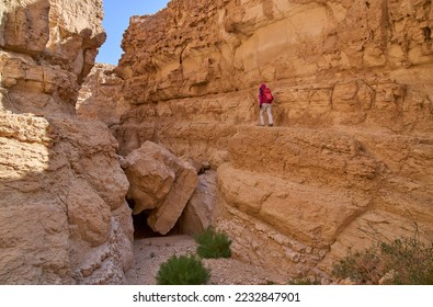View inside a dry canyon in a remote part of the Negev Desert. Impressive high walls of a narrow canyon. Female hiker on a hiking path in a heart of the desert. Nature reserve. Vacation in Israel. - Shutterstock ID 2232847901