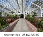 View inside the glasshouses of the David Welch Winter Gardens, Duthie Park, Aberdeen, Scotland.  Greenhouse. Protected growing. Garden.