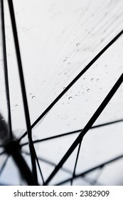 View From The Inside Of A See Through Umbrella On A Rainy Day.