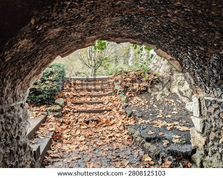 View from inside a stone archway looking out onto park steps covered in fallen autumn leaves in London