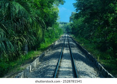 view from inside the train, showing the train tracks cutting through the green forest, a calm and beautiful atmosphere. - Powered by Shutterstock