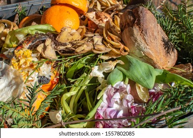View into a bio container  with various organic wastes for recycling