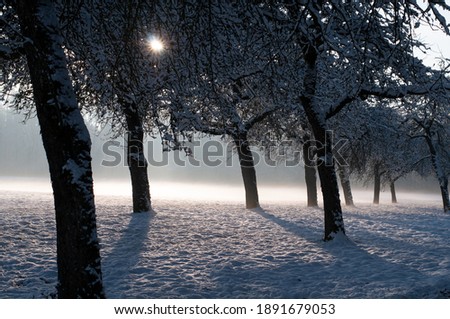 Similar – Image, Stock Photo Foggy winter morning at Lake Yellowstone in the Yellowstone National Park, Wyoming