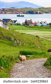 View Of Iona An Island In Scotland