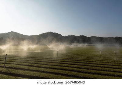 A view of the irrigation system function watering argicultural fields