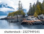 View of island from Kenai Fjords National Park Cruise tour in Alaska, USA.