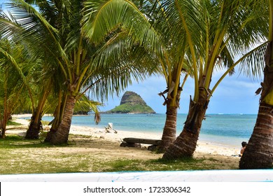 View of island through trees in Hawaii - Shutterstock ID 1723306342