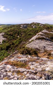 View Of The Isle Of Gigha, Scotland, UK