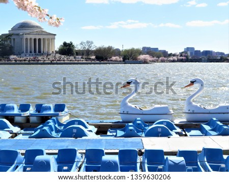 View of the Jefferson Memorial across the Tidal Basin during Cherry Blossom Season in downtown Washington DC. Pedal boats for rent are in the forefront. 
